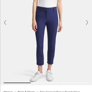 Theory Treeca pant